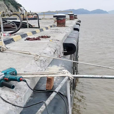 Tipo di gomma naturale cuscini ammortizzatori 300H di D per Marine Large Wharf Ships resistente