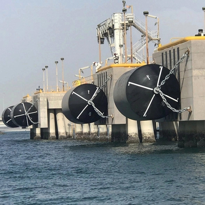 Guardia variopinta Fenders dell'oceano dell'unità di elaborazione EVA Floating Foam Fender 2000*3500mm