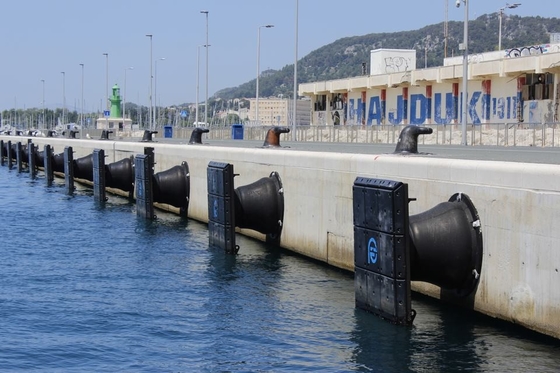 Norma dell'AIPCN 2002 di Omega del cuscino ammortizzatore di Marine Safety Dock Cone Rubber iper