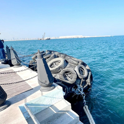 -40 grado C - un cuscino ammortizzatore pneumatico 80kPa da 80 grado C con l'imballaggio del pallet