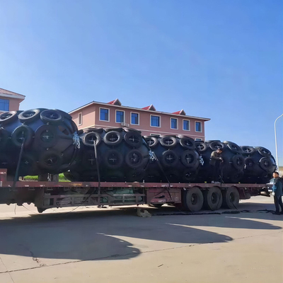 Altezza personalizzabile dell'alto dell'abrasione cuscino ammortizzatore di gomma cilindrico del bacino per Marine Usage